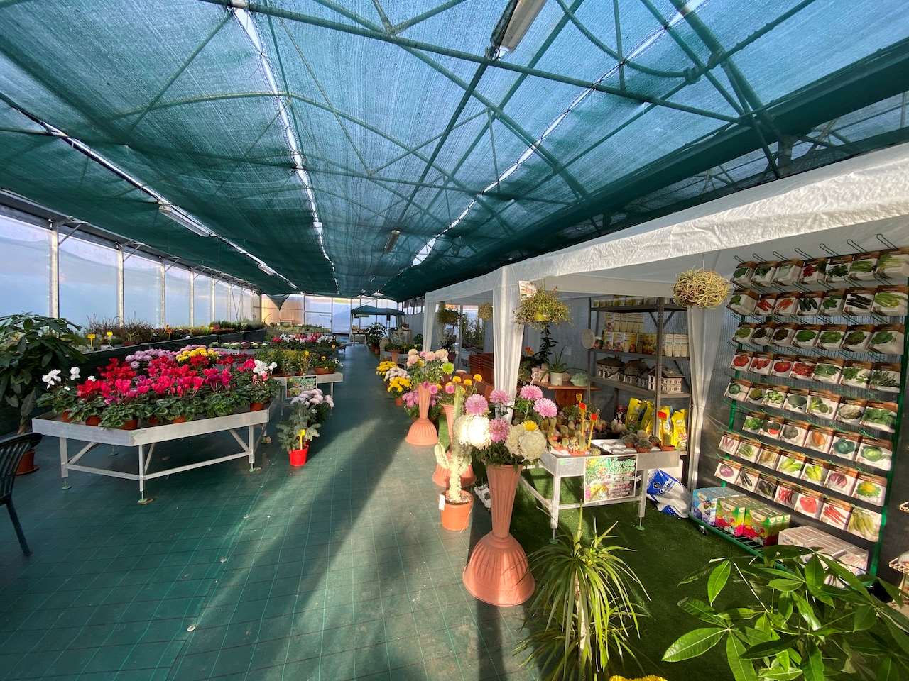 Azienda florovivaistica ben avviata