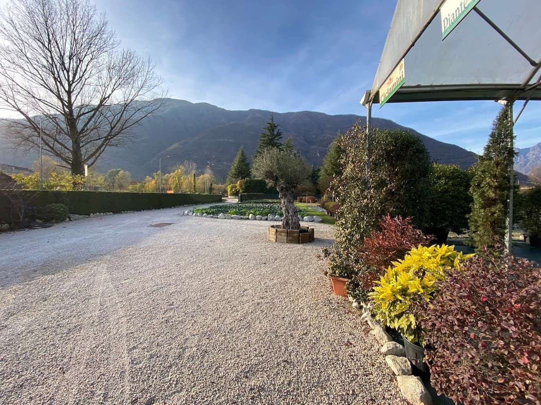 Azienda florovivaistica ben avviata gallery 4