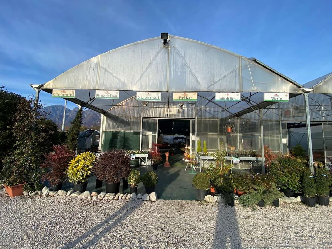 Azienda florovivaistica ben avviata gallery 5