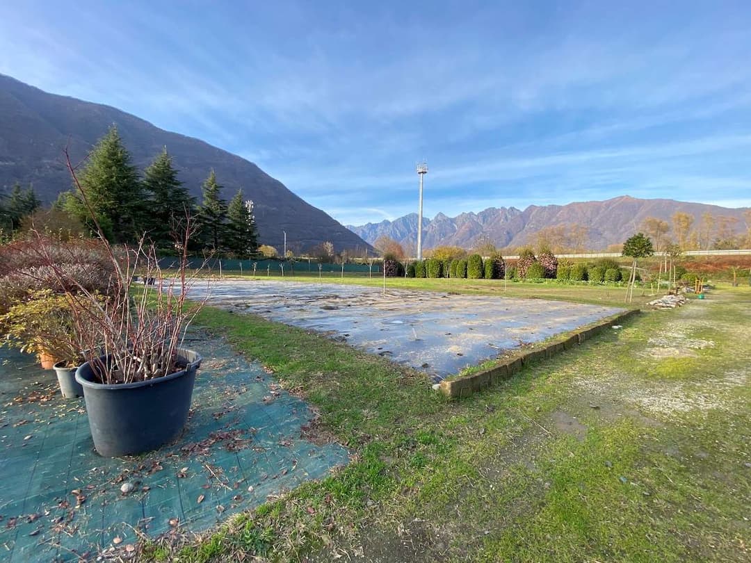 Azienda florovivaistica ben avviata gallery 9