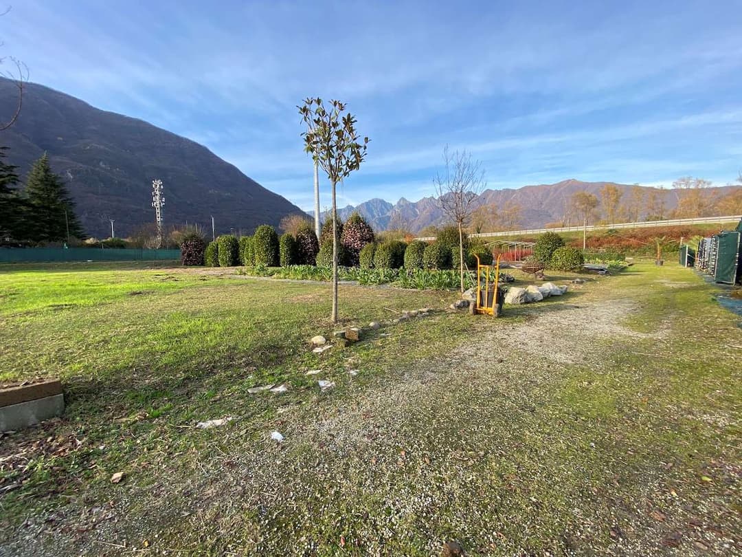 Azienda florovivaistica ben avviata gallery 10