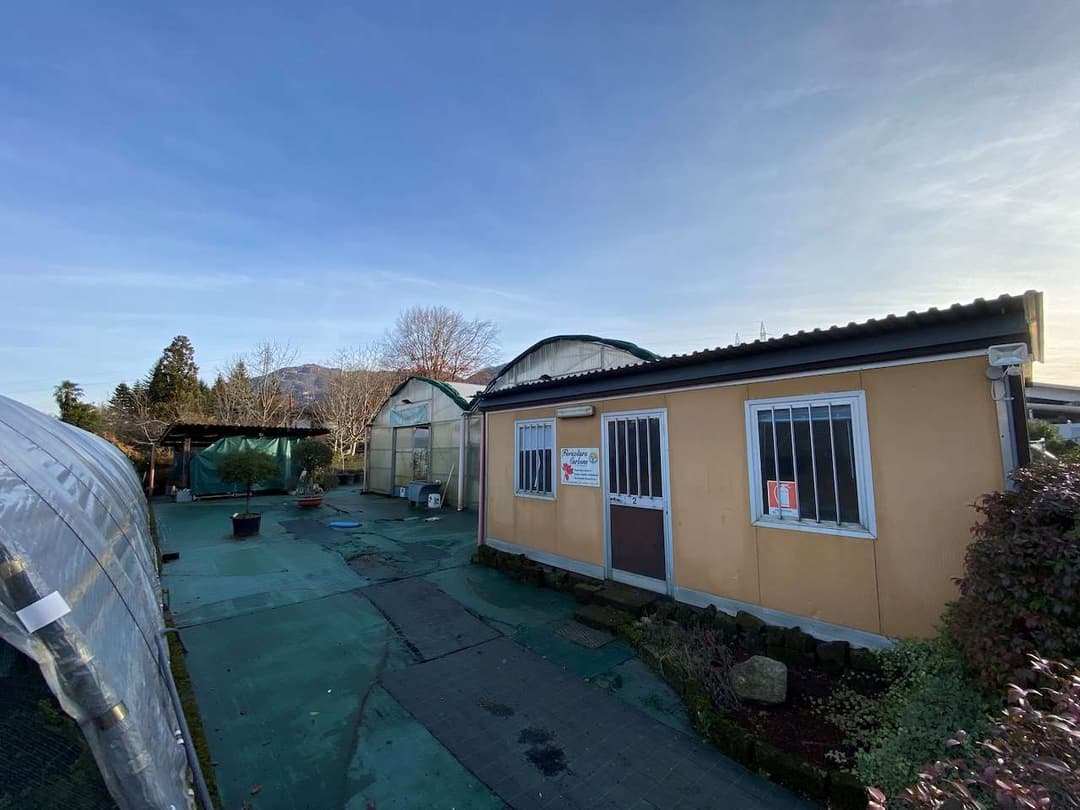 Azienda florovivaistica ben avviata gallery 12