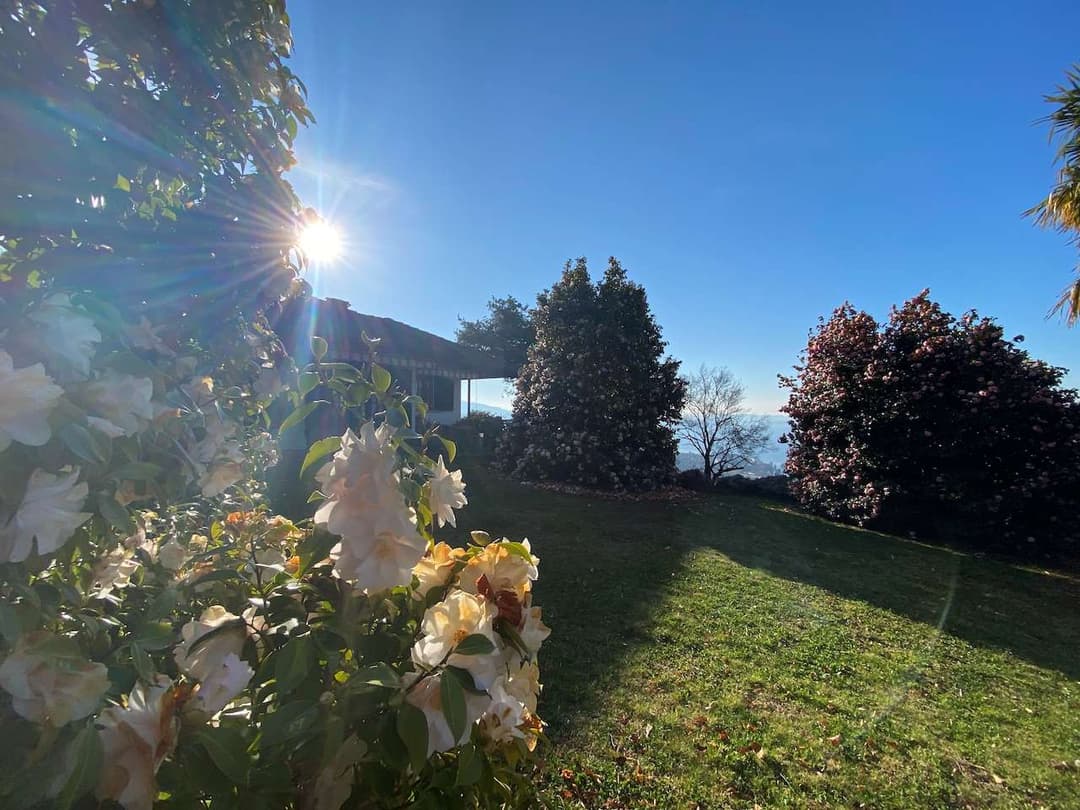 Villa con vista mozzafiato lago maggiore  e isole gallery 13