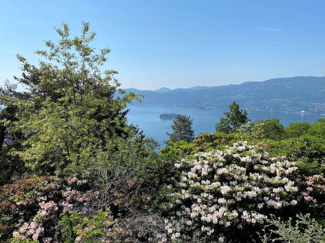 Villa con vista mozzafiato lago maggiore  e isole gallery 18