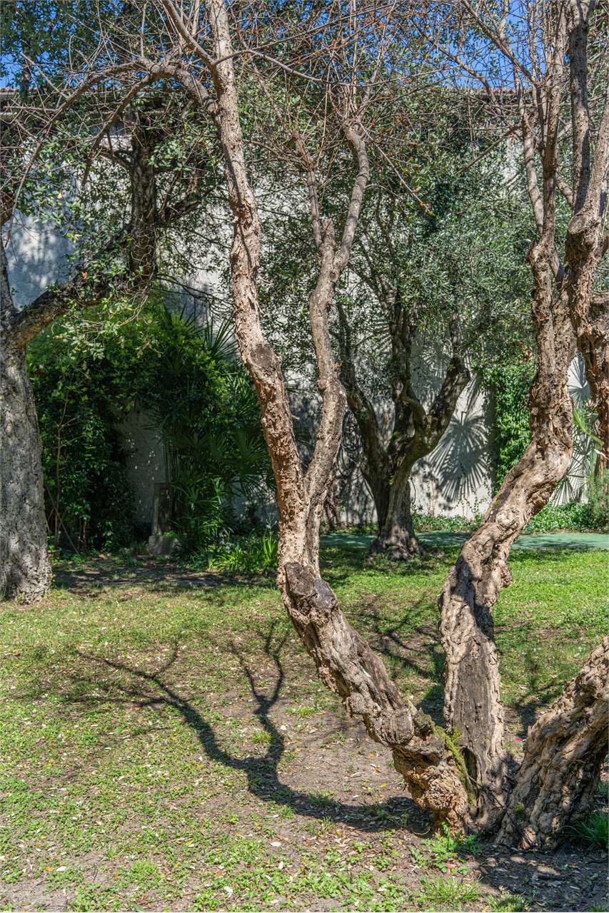 Secret garden nel cuore di VERBANIA pallanza a 50 mt da lago gallery 27